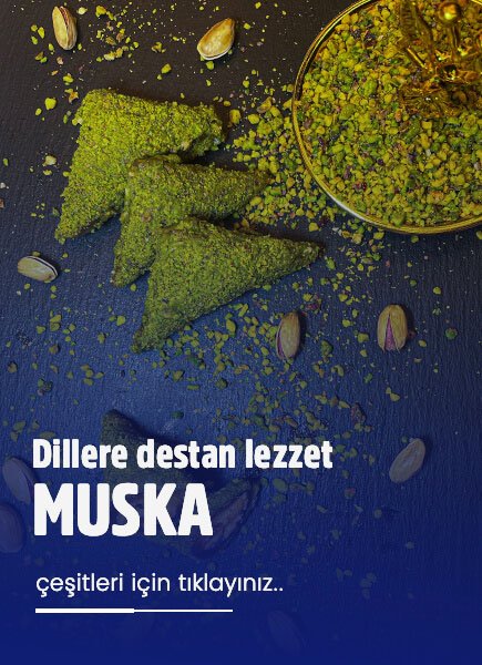 Saray Pestil & Köme 1 lazy