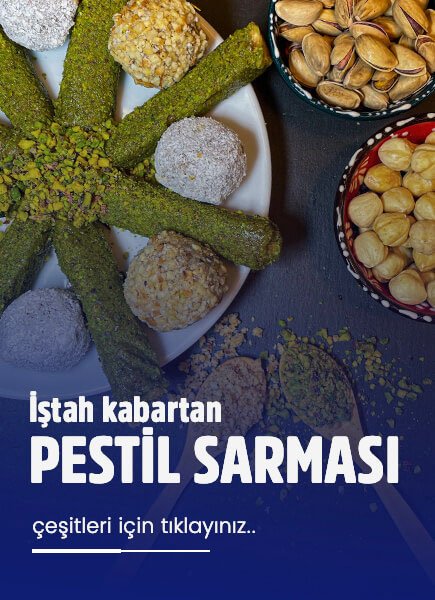 Saray Pestil & Köme 3 lazy